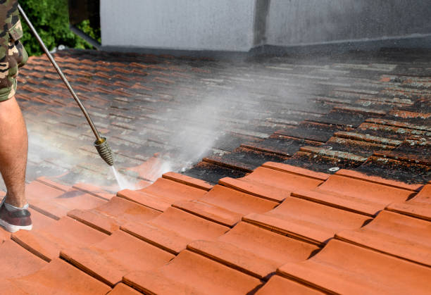 Best Concrete Pressure Washing  in Shallowater, TX