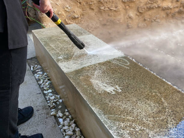 Best House Pressure Washing  in Shallowater, TX